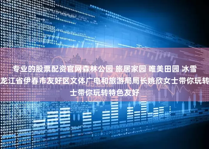专业的股票配资官网森林公园 旅居家园 唯美田园 冰雪乐园｜黑龙江省伊春市友好区文体广电和旅游局局长姚欣女士带你玩转特色友好