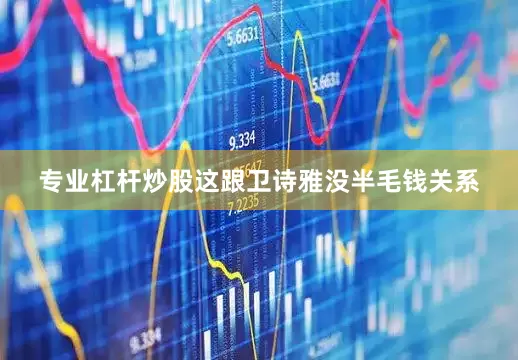 专业杠杆炒股这跟卫诗雅没半毛钱关系