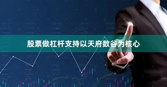 股票做杠杆支持以天府数谷为核心