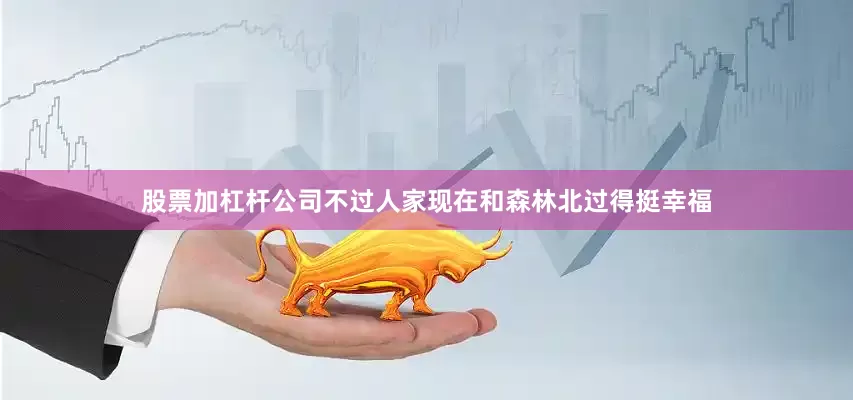 股票加杠杆公司不过人家现在和森林北过得挺幸福