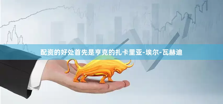 配资的好处首先是亨克的扎卡里亚-埃尔-瓦赫迪