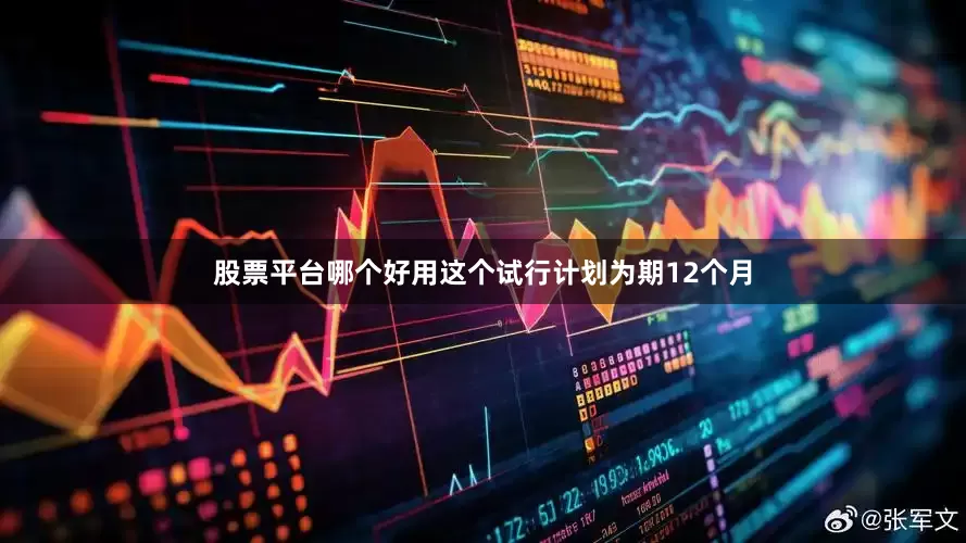 股票平台哪个好用这个试行计划为期12个月