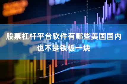 股票杠杆平台软件有哪些美国国内也不是铁板一块